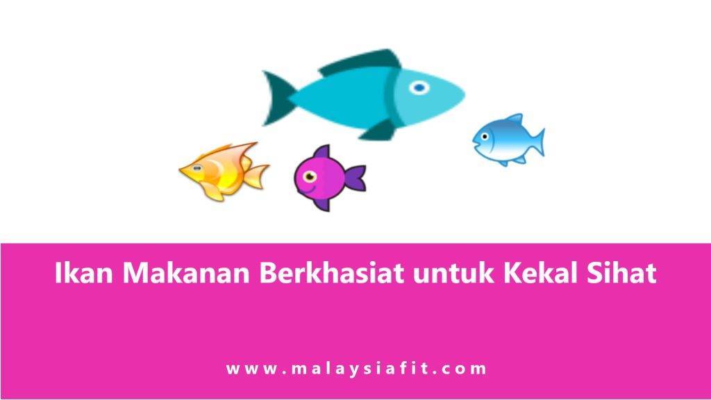 Ikan Makanan Berkhasiat untuk Kekal Sihat