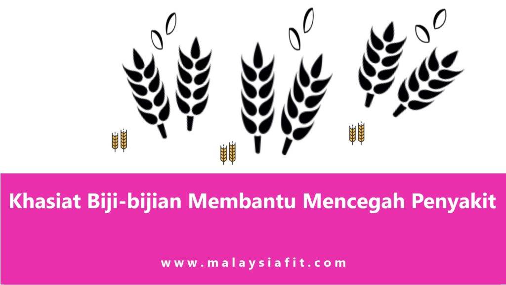 Khasiat Biji-bijian Membantu Mencegah Penyakit