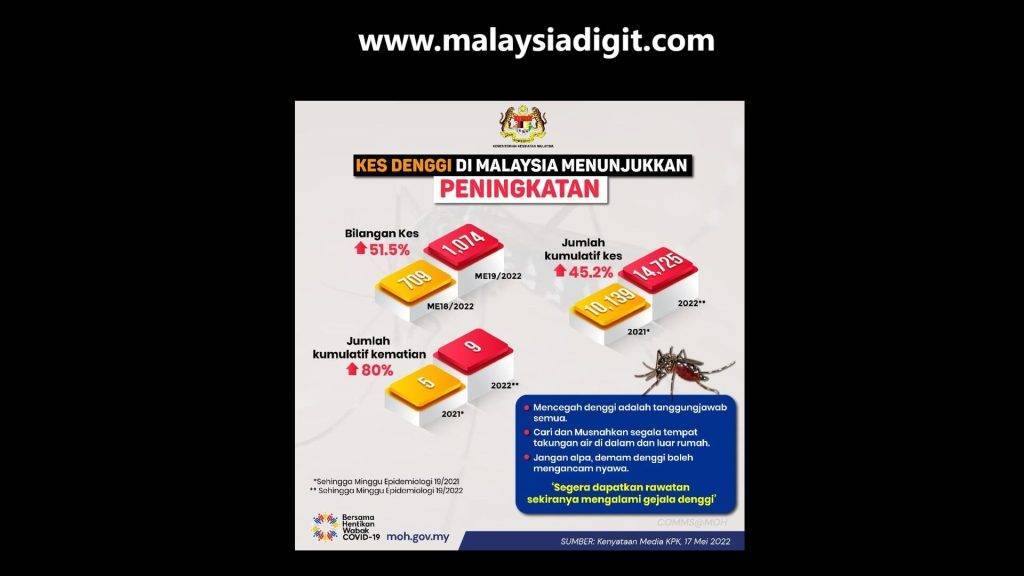 Tanda dan Cegah Demam Denggi